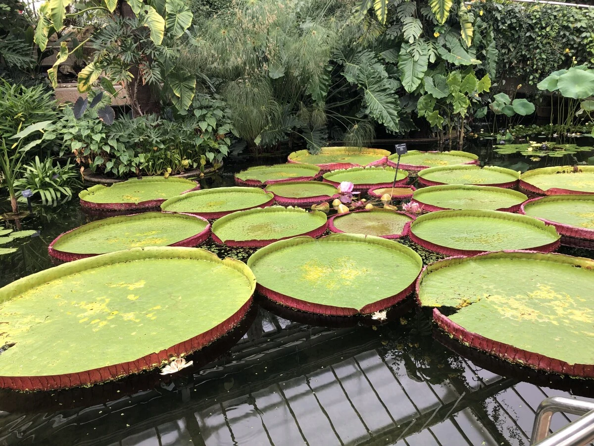 2025-London-Londen-伦敦